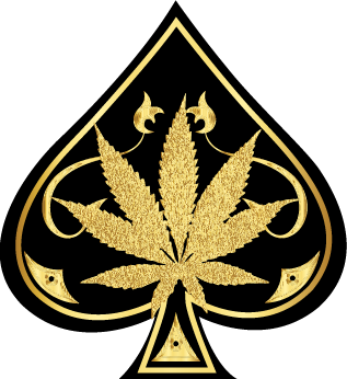 aceultrawholesales.com